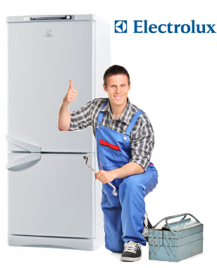Ремонт холодильников Electrolux в СПб