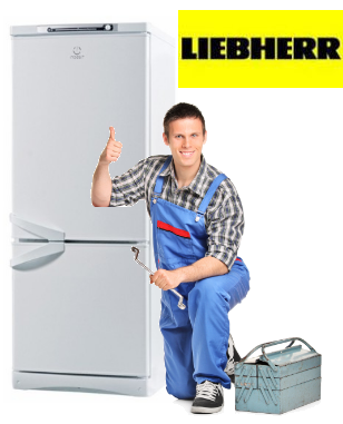 Ремонт холодильников Liebherr в СПб