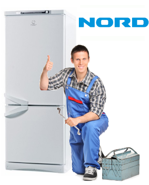 Ремонт холодильников Nord в СПб