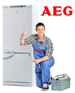 Ремонт холодильников AEG в СПб
