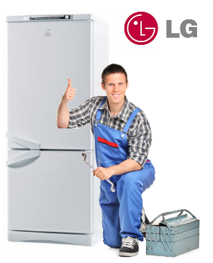 Ремонт холодильников LG в СПб
