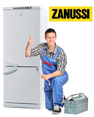 Ремонт холодильников Zanussi в СПб